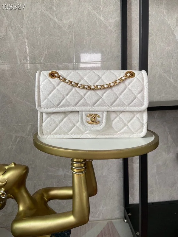 Chanel bags with exclusive seasonal designs and materialsBC - CHANEL Bags - 1654